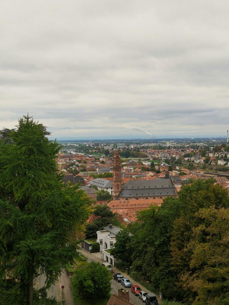 Private Escort Mannheim - City Panorama View A Private Escort Mannheim - City Panorama View A